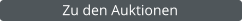 Zu den Auktionen