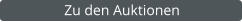 Zu den Auktionen