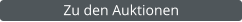 Zu den Auktionen